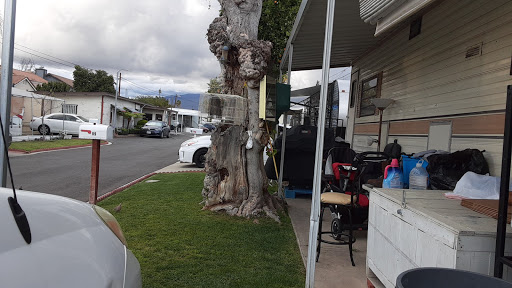 Paradise Travel Trailer Park Logo