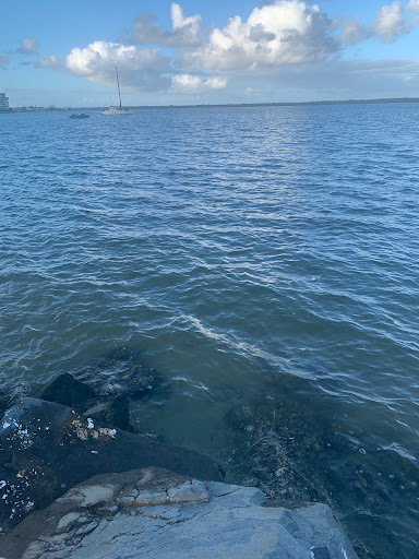 Gold Coast Fishing Spots - Centenary Park Gallery - Australia