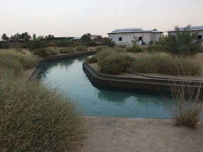 Photos of El Janah Arabians