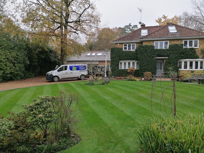 The Lawn Guy