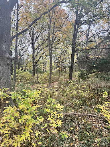 Prairie Pines Nature Preserve Gallery - United States