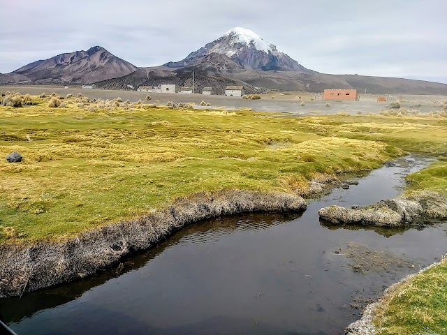 Sajama National Park and Natural Integrated Management Area