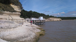 Photo n°2 de Camping Les Ombrages à Meschers-sur-Gironde (Terrain de camping)