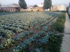 Bilal Town abbottabad