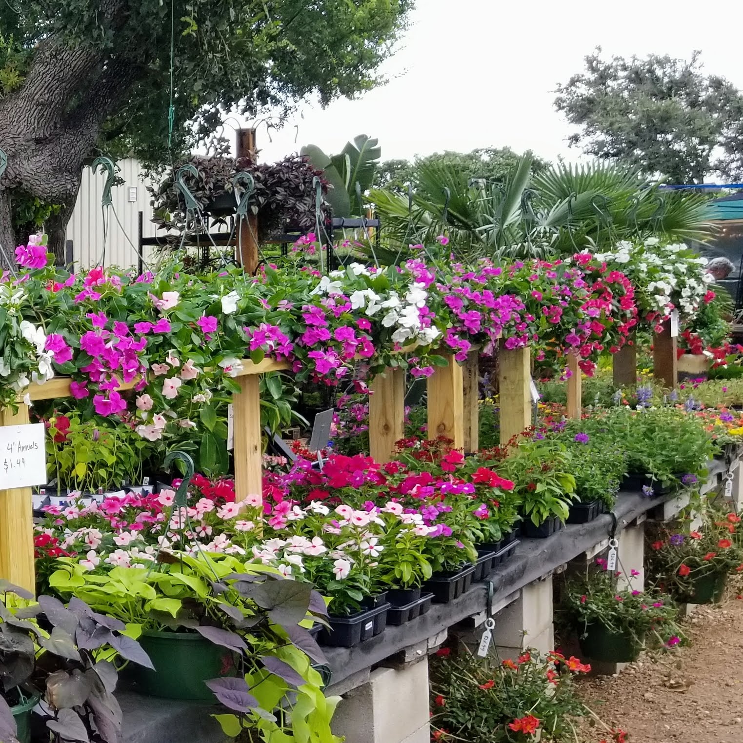Green Planet Scapes of Austin