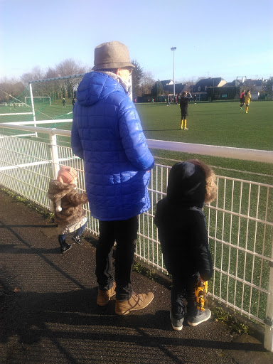 Stade Albert Chenard - Thumbnail