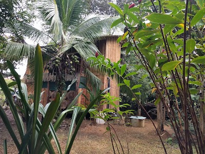 Photos of El Toboso