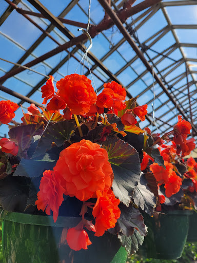 Vests Greenhouse - Thumbnail