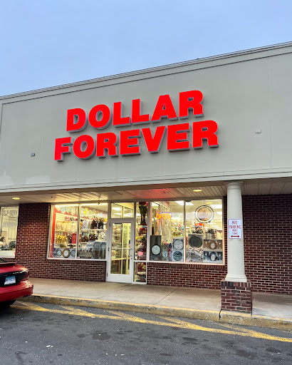 Dollar Forever - Visual