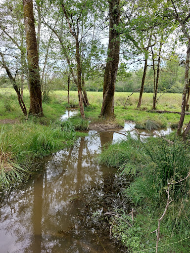 Maison du Marais de Lavours - Thumbnail