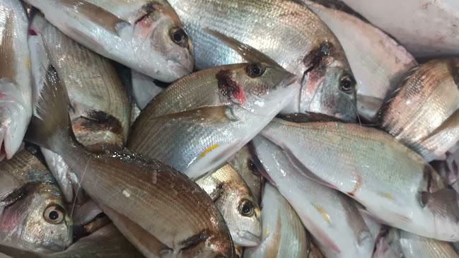 Μεσόγειος Ηγουμενίτσα