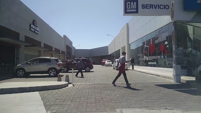Photos of Chevrolet engines Morelia