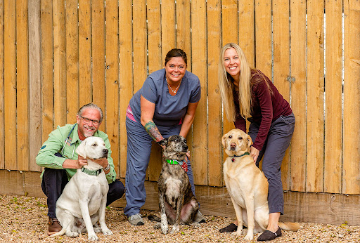 North Austin Animal Hospital - Thumbnail