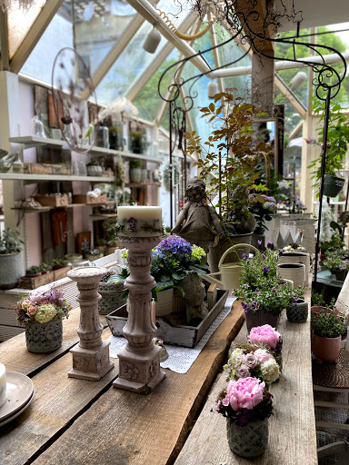 Blumen Bechstein - Thumbnail