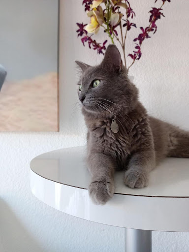 Centro Veterinario Efraím González - CVEG