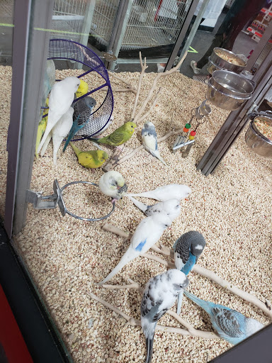 Uncle Bill's Pet Centers Fort Wayne - Thumbnail