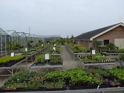 Photos of Kwekerij Souman Hattem - Tuincentrum regio Zwolle