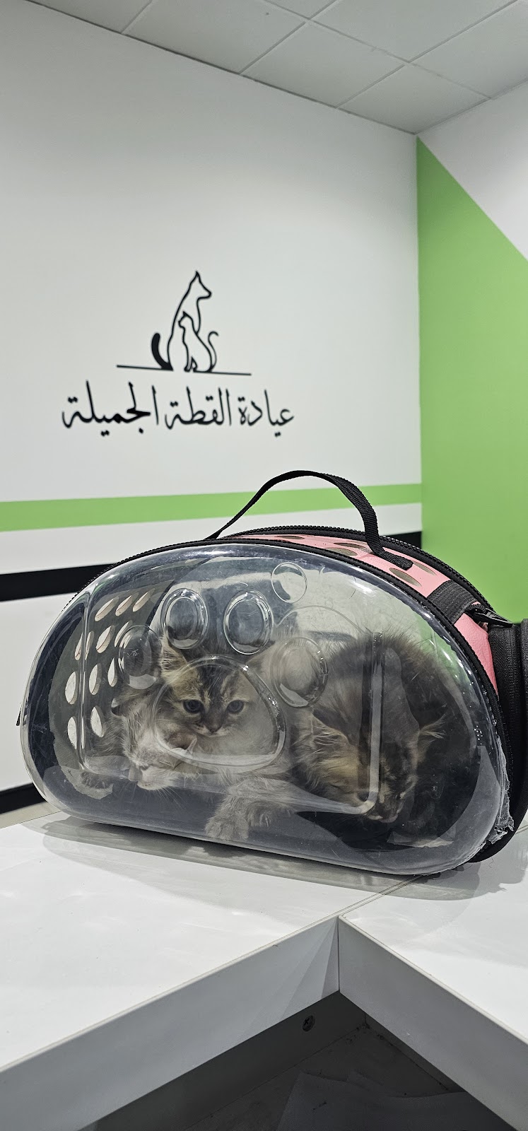 صيدليه وعيادة الفيافي البيطرية - صورة 4