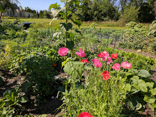 Rock River Community Garden - Thumbnail
