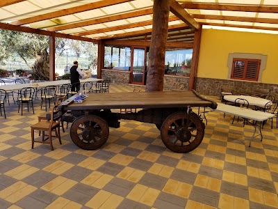 Photos of Olive Grove Farm Garden