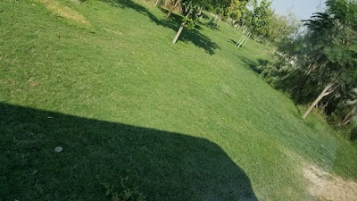 Photos of Dubai safari park