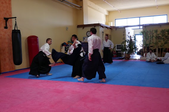 Aikido (ISTA) Rishon LeZion, Author: Michael H