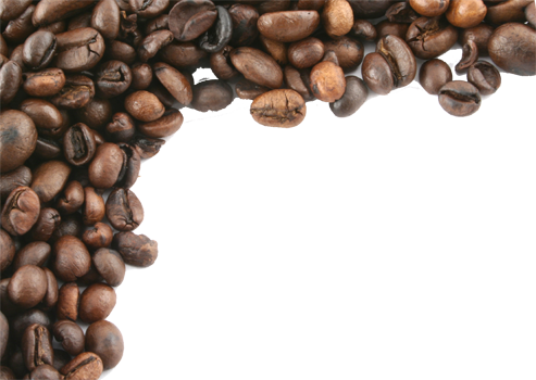Darling Downs Coffee - Visual