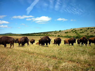 Photo n°2 de Randals bison - Restaurant à Lanuéjols (Restaurant)