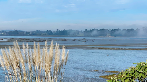 Waiata Shores Esplanade Path - Thumbnail