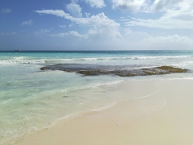 Île Saona