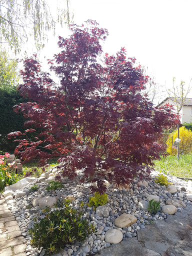 Photo de Le Jardin du Plessis à Saint-Romain-de-Popey (69490)
