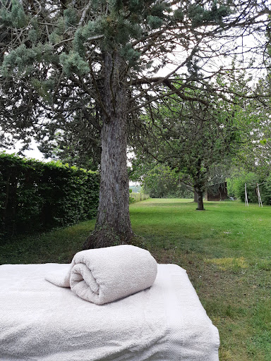Photo de Ici et maintenant - Barbara Bahr à Saint-Bris-le-Vineux (89530)