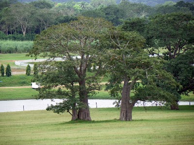 Photos of Ajani Farms