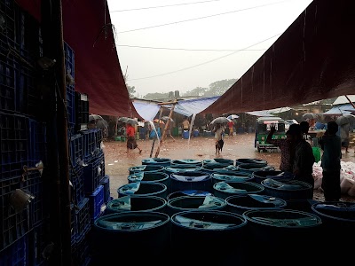 Photos of Feni Fish Market