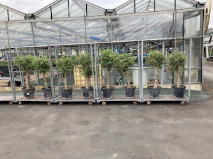 Photo n°22 de Casadei et Fils à Brive-la-Gaillarde (Maraîcher)