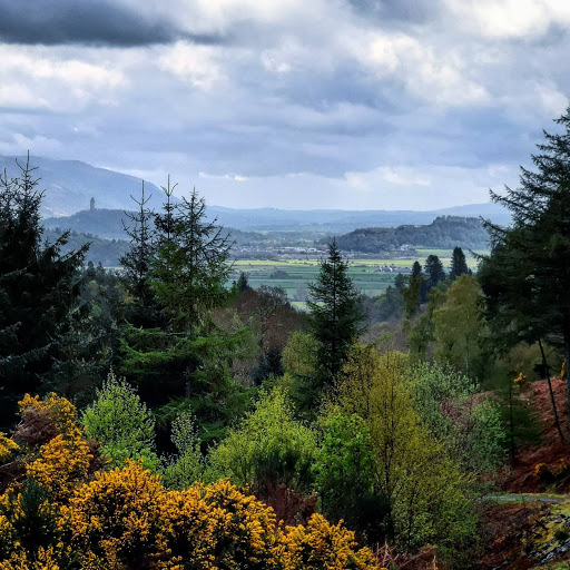 Garshellach Forest - Visual