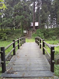 熊野神社の親杉