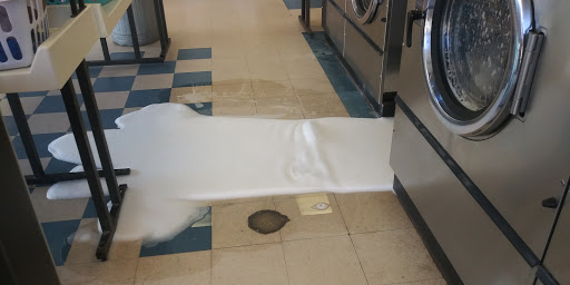Dellview Laundry - Visual