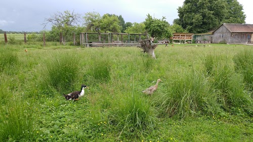 Lejnieki, Mini Zoo