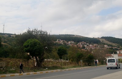 Photos of Catalca Municipality