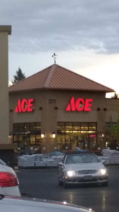 Ace Hardware & Paint