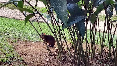 Photos of La Purruja Lodge