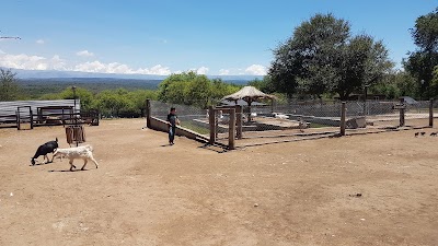 Photos of Arca de No&eacute;