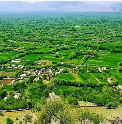 Shindand