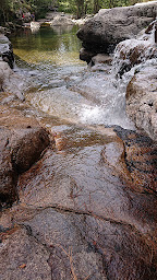 Photo n°41 de Camping La Sposata à Vico (Restaurant)