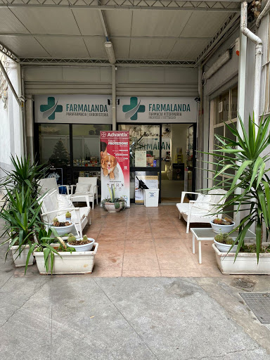 Farmalanda - Visual