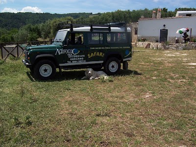 Photos of Regione Basilicata