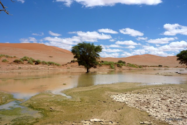 Sossusvlei