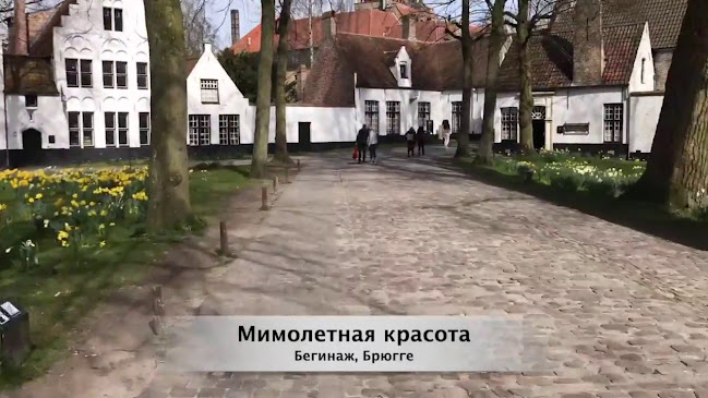 Beoordelingen van Брюссель гид Андрей Канаш. GoBelgium - экскурсии по городам Бельгии. in Brussel - Reisbureau