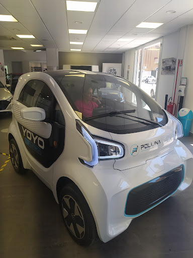 Pollina Auto - Visual